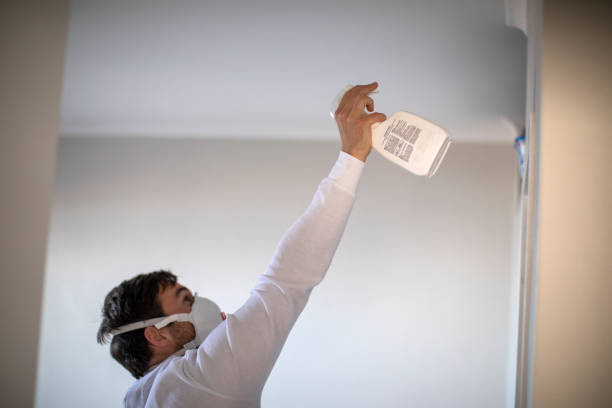 Best Mold Testing  in Bellevue, PA