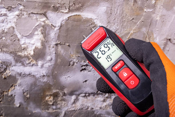 Professional Mold Removal in Bellevue, PA