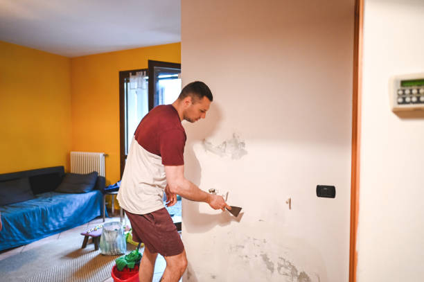 Best Mold Removal Near Me  in Bellevue, PA